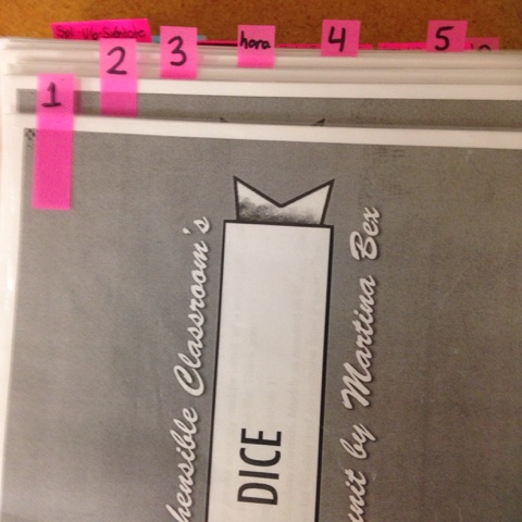 Organization Tip - Lesson Binders - Mis Clases Locas