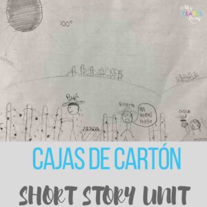 Cajas de Carton short story unit