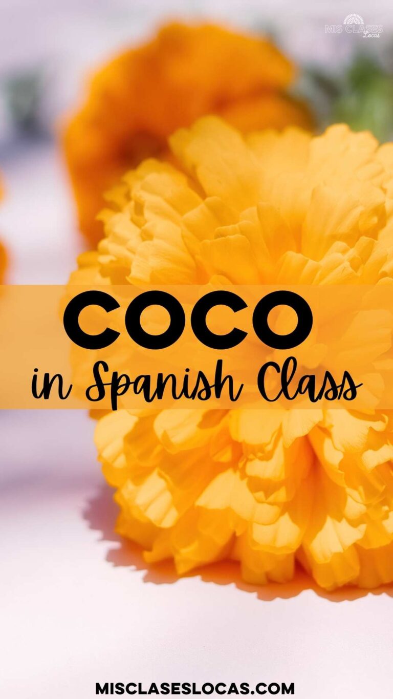 Coco in Spanish Class - Mis Clases Locas